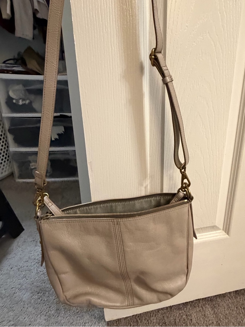 Fossil Leather Crossbody Bag in Taupe